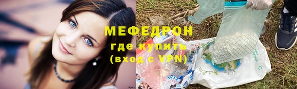 стаф Каменка