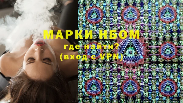 стаф Каменка