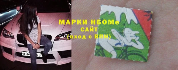 стаф Каменка