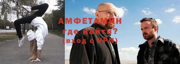стаф Каменка