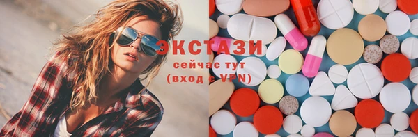 стаф Каменка