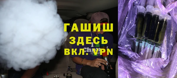 стаф Каменка