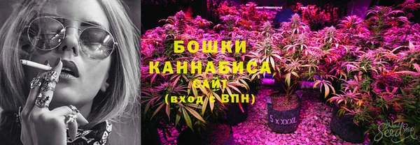 стаф Каменка