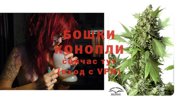 стаф Каменка
