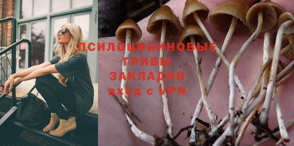 стаф Каменка
