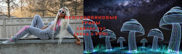 сатива Каменск-Шахтинский