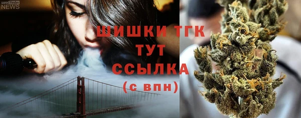 стаф Каменка