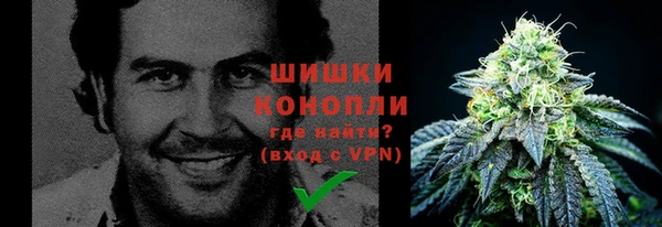 стаф Каменка