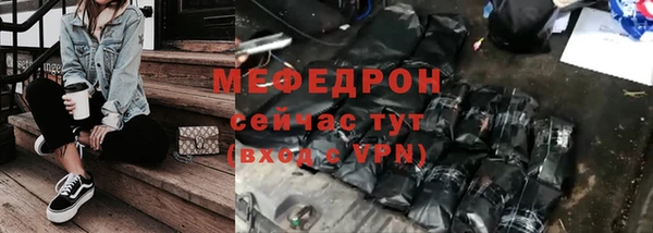 стаф Каменка