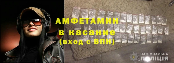 стаф Каменка