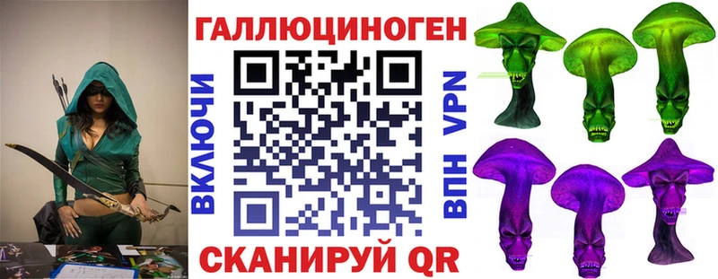 Купить где  Дрезна  Псилоцибиновые грибы MAGIC MUSHROOMS 