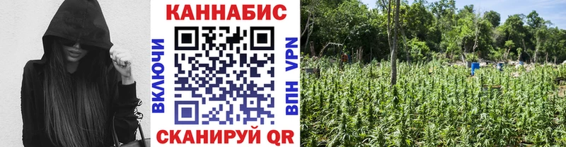 Конопля White Widow  Купить где  Дрезна 